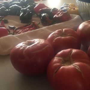 Meet your Posher, Tara